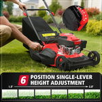 Charger l’image dans la visionneuse de la galerie, 21" Gas Lawn Mower, 144cc OHV Engine, 3-in-1 Push Mower with Bagging, Mulching &amp; Side Discharge